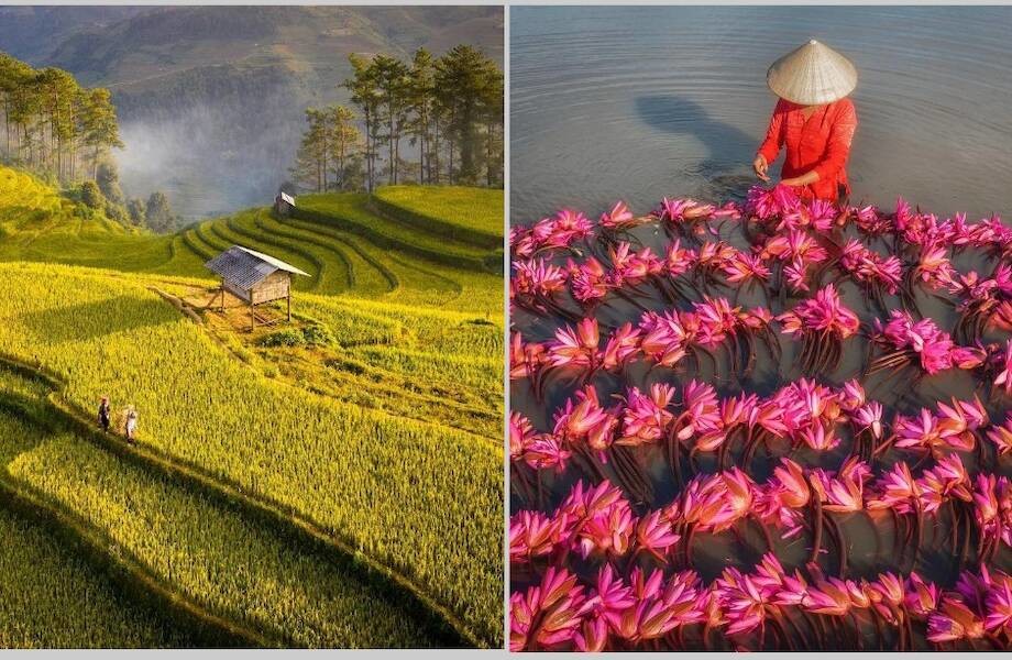 14 потрясающих фото, которые заставят влюбиться во Вьетнам (15 фото)