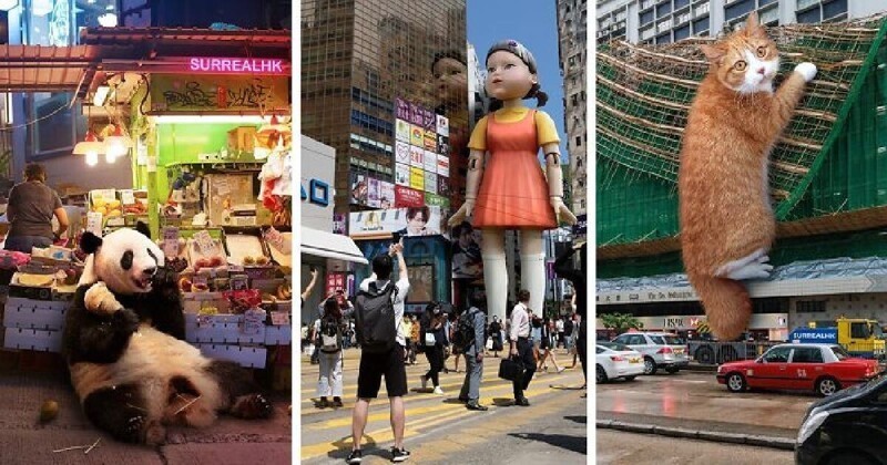 Улицы Гонконга, фотошоп, котики и никакого мошенничества (31 фото)