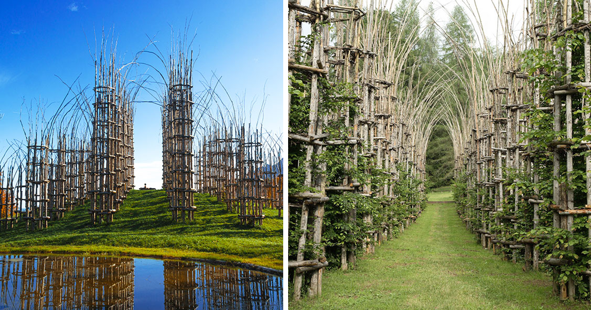 Итальянец создал величественный собор из живых деревьев (14 фото)