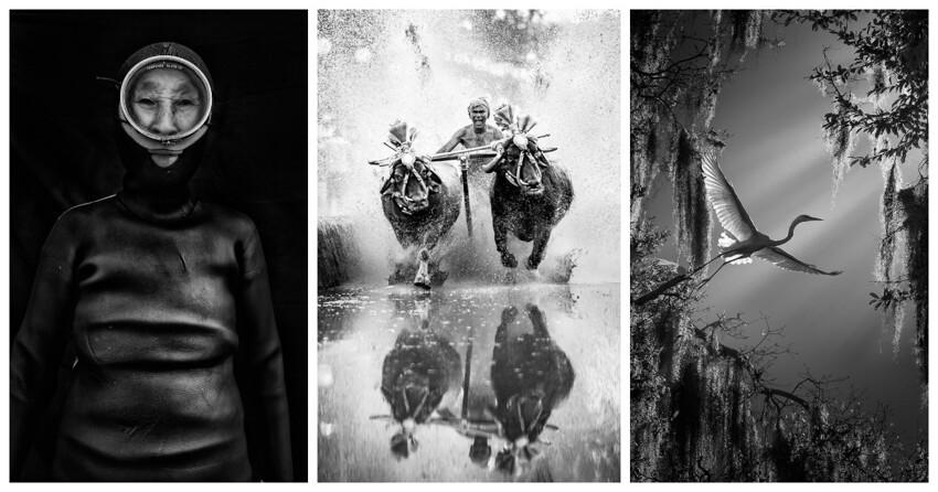 10 лучших снимков конкурса чёрно-белой фотографии от Independent Photographer (11 фото)