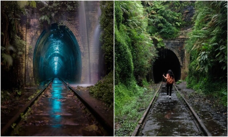Заброшенный туннель в Австралии привлекает толпы туристов (8 фото + 1 видео)