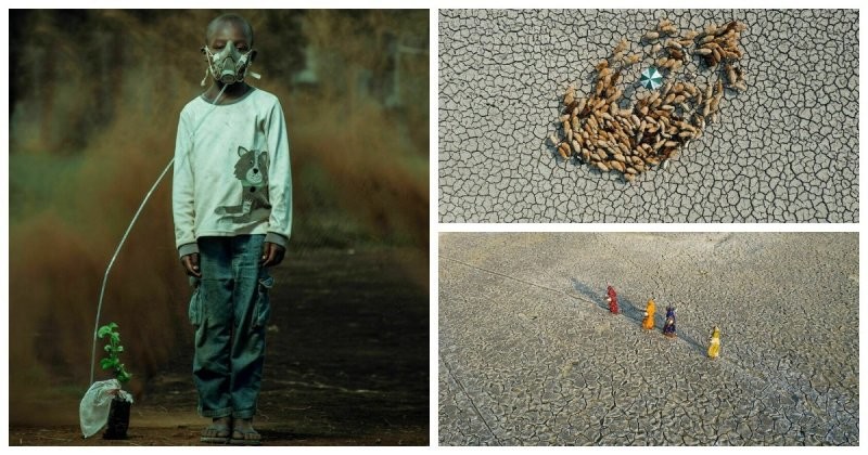 Экологические проблемы планеты в объективе фотографов: 15 впечатляющих снимков (17 фото)