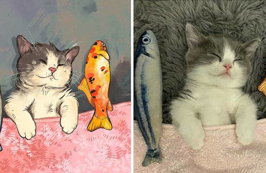 Художница превращает известные мемы с котами в забавные иллюстрации (15 фото)