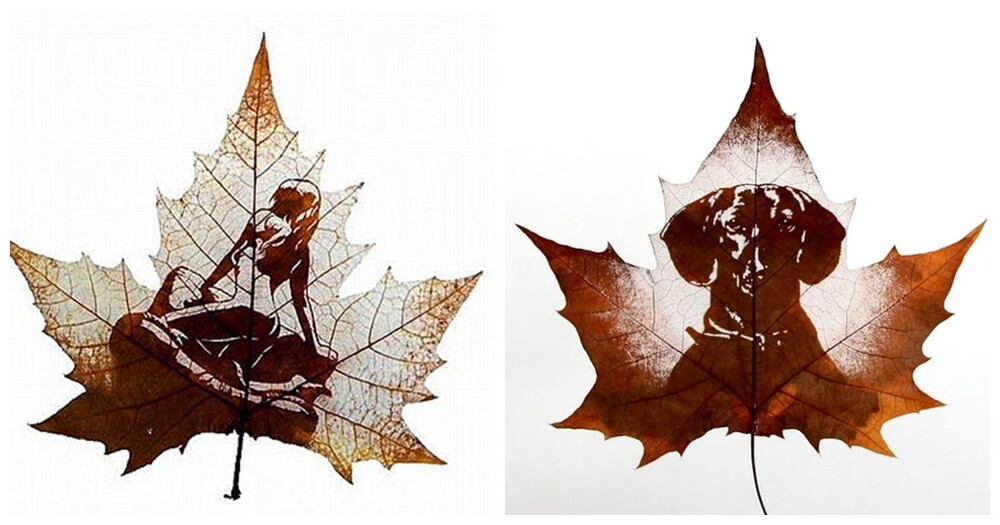 Древесно-культурный код: листья как объект искусства (15 фото)