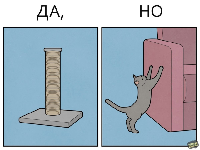 "Да, но...": саркастичные иллюстрации про котиков от художника Антона Гудима (6 фото)