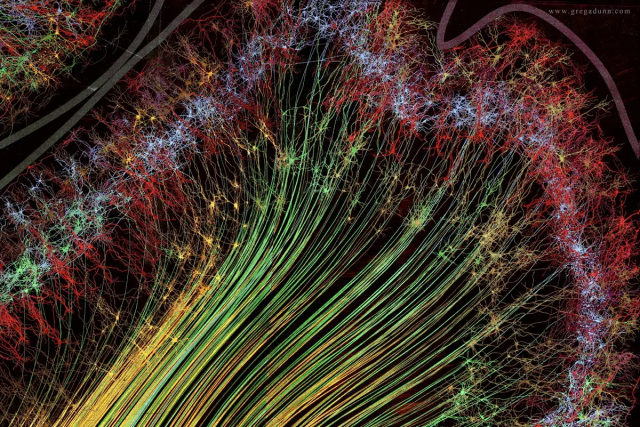 “Wiggle your brains”: beautiful visualization of the processes that occur in our brain every day (14 photos)