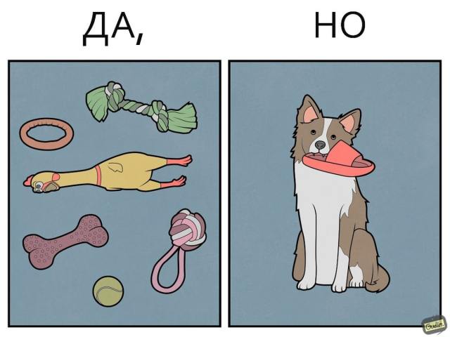 "Да, но...": саркастичные иллюстрации про собак от художника Антона Гудима (8 фото)