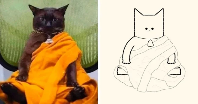 Funny sketchy drawings of cats (19 photos)