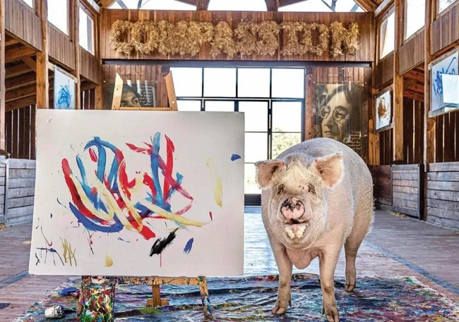 A pig artist who earned more than $1 million from his paintings has died in South Africa (3 photos)