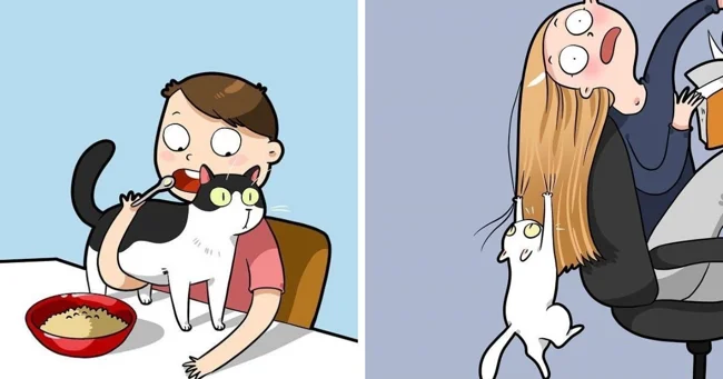 19 забавных комиксов, которые отлично поймёт каждый, у кого дома живёт кот (21 фото)