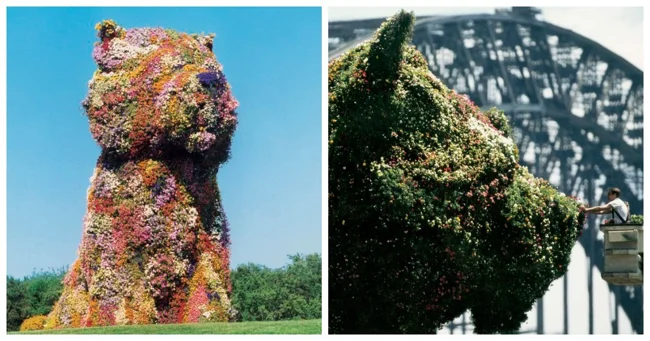 A puppy made of flowers by Jeff Koons (16 photos)
