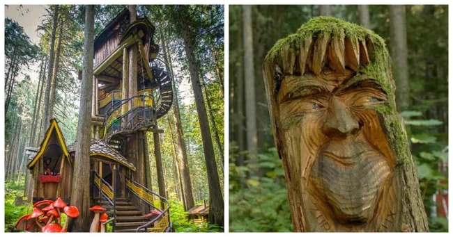 Волшебный канадский лес, где живут сказочные существа (26 фото)