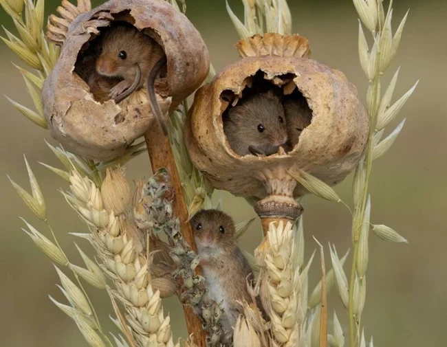 10th 35AWARDS (40 фото)