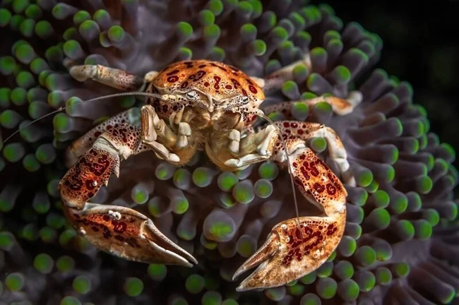 10th 35AWARDS 2021 (51 photos)