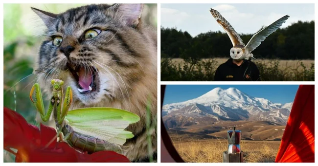 35 впечатляющих снимков со всего света (36 фото)