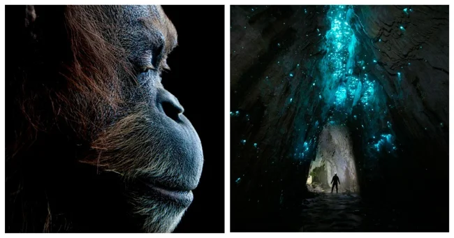 25 победителей фотоконкурса reFocus Awards 2025 (26 фото)