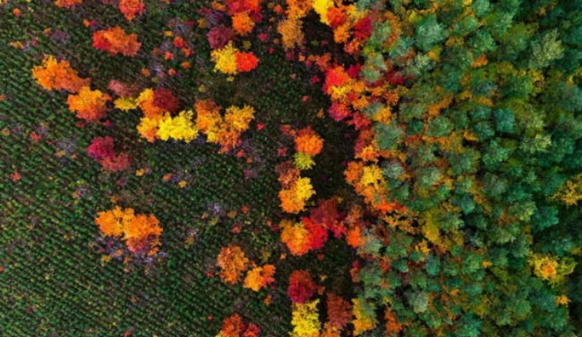 Фотограф, любящий парапланеризм, делает потрясающие кадры без помощи дрона (8 фото)