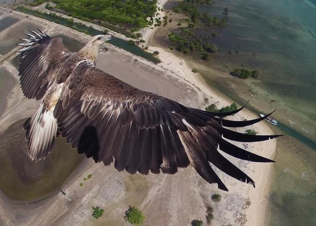 Победители фотоконкурса Dronestagram (7 фото)