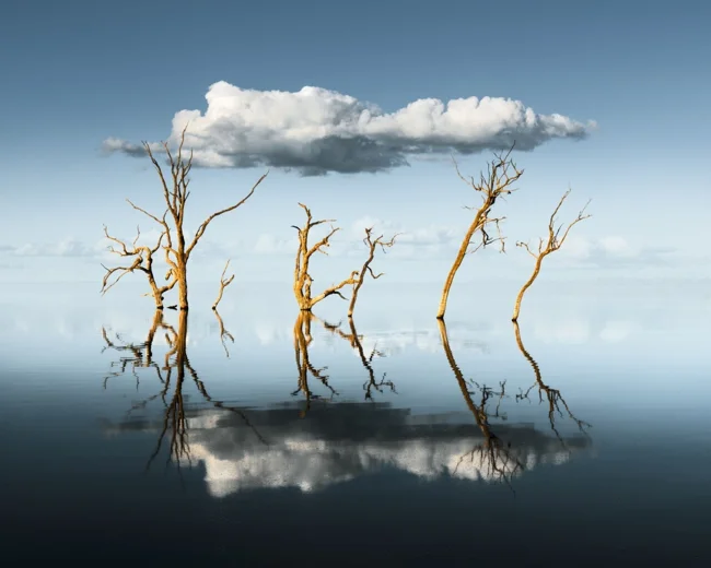 Международный конкурс пейзажных фото-1 (30 фото)