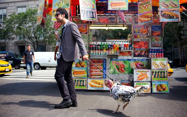 A Photographer Documents the Beauty of New York (28 photos)
