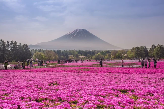 15 Most Beautiful Places in Japan (16 photos)