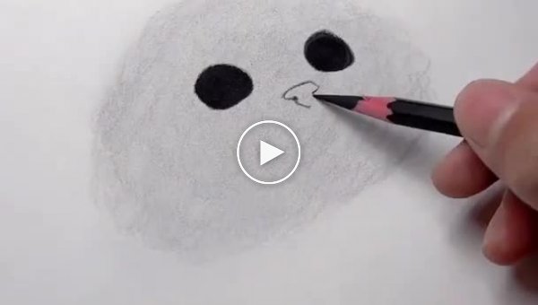 An unusual way to draw a cat