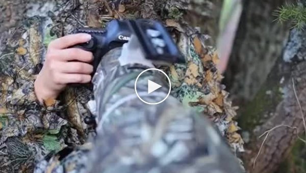 A photo gun you'll want to run through the forest with