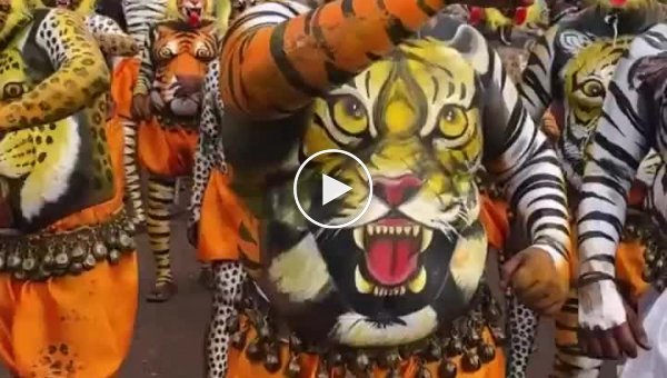 Bright participants of the “tiger” parade in India