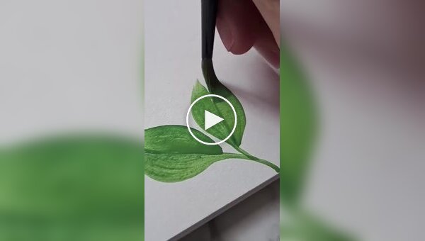 Beautifully and smoothly drawn on pieces of paper