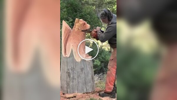 Fox carved from a single tree trunk