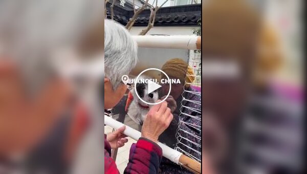 Unusual embroidery technique