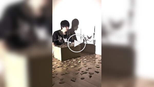 Японец создаёт шедевральные инсталляции из картона