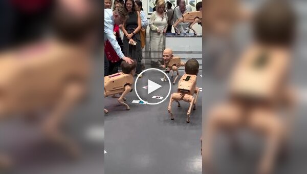 15 секунд современного искусства