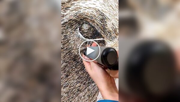 Художник и степлер