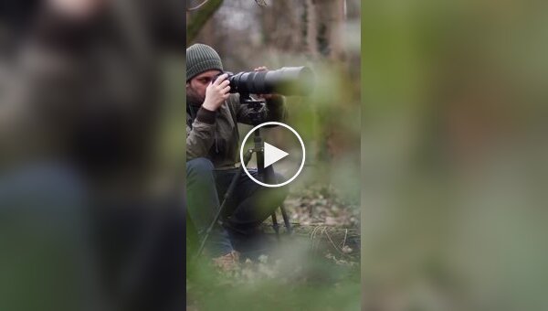 Прыжок белки-ниндзя